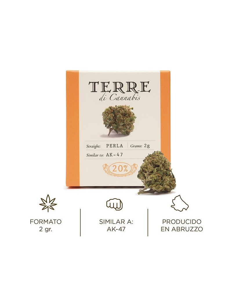 Fleur aromatique de CBD : PERLA / AK47 Fleur aromatique de CBD : PERLA / AK47
