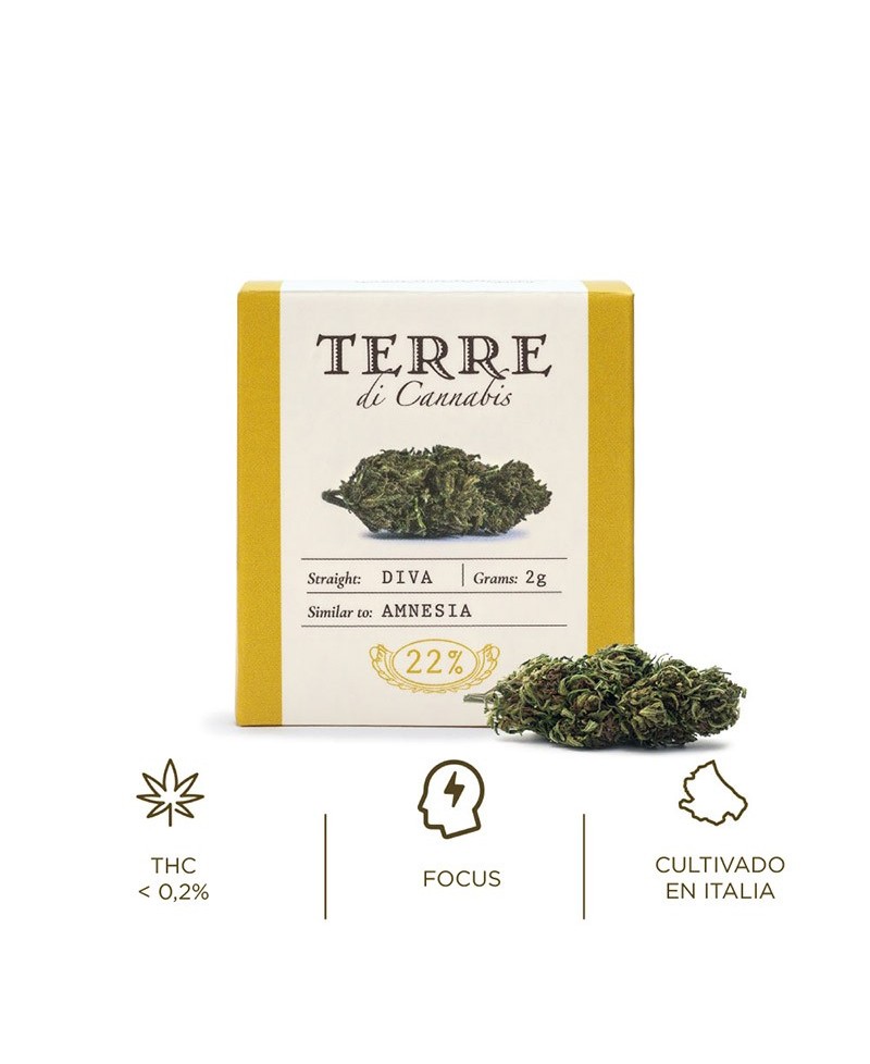 Fleur aromatique de CBD : DIVA / AMNESIA Fleur aromatique de CBD : DIVA / AMNESIA