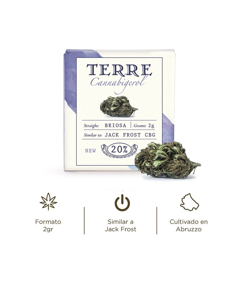 Fleur aromatique de CBG : BRIOSA / JACK FROST CBG Fleur aromatique de CBG : BRIOSA / JACK FROST CBG